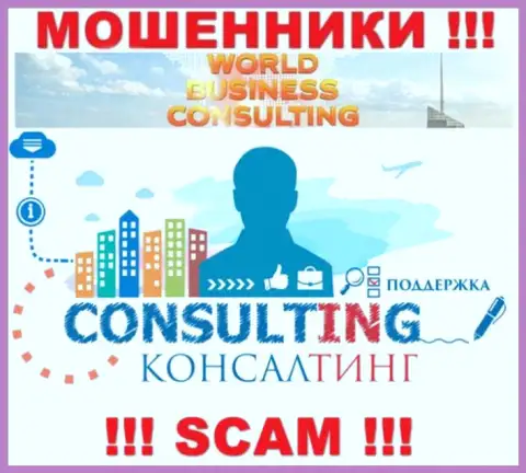 World Business Consulting занимаются обворовыванием доверчивых клиентов, а Consulting только лишь прикрытие
