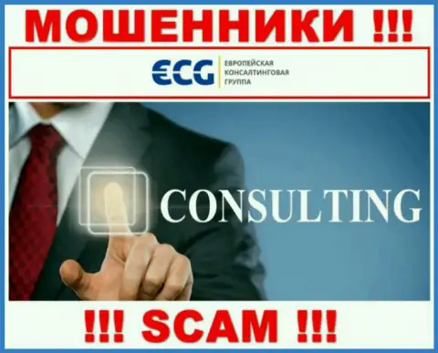 Consulting - это направление деятельности мошеннической компании E.C.G