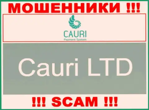 Не стоит вестись на сведения об существовании юридического лица, Каури Ком - Cauri LTD, все равно рано или поздно оставят без денег
