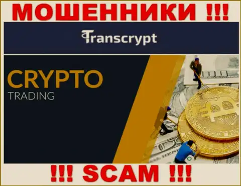 TransCrypt - это мошенники !!! Вид деятельности которых - Криптотрейдинг