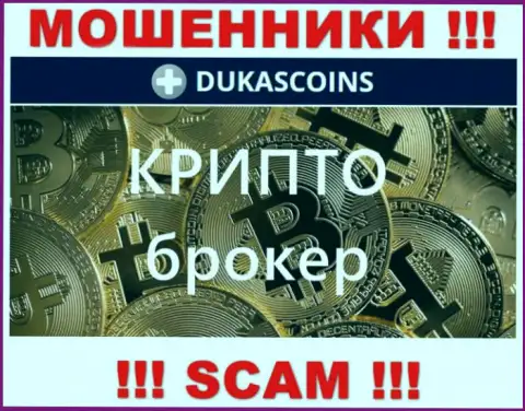 Род деятельности интернет аферистов ДукасКоин - это Crypto trading, однако помните это надувательство !!!