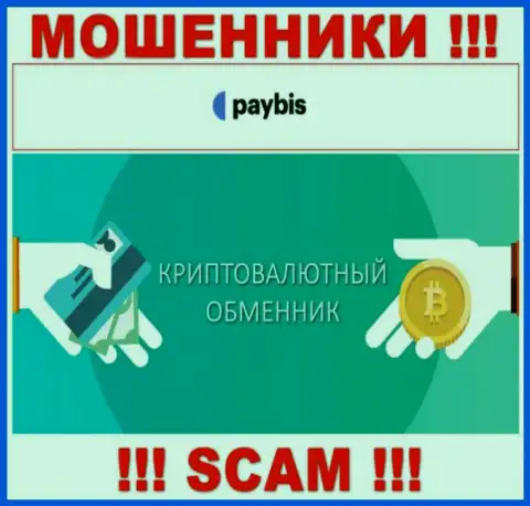 Крипто обменник - это направление деятельности преступно действующей компании PayBis Com
