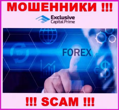 Forex - это направление деятельности противозаконно действующей компании Exclusive Change Capital Ltd
