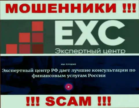 Экспертный-Центр РФ заняты обманом доверчивых людей, а Consulting лишь ширма