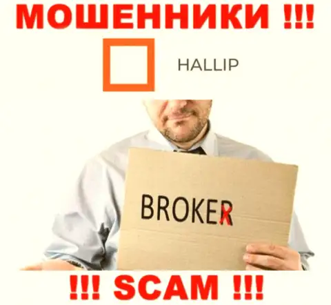 Вид деятельности обманщиков Hallip Com - это Брокер, но помните это обман !!!