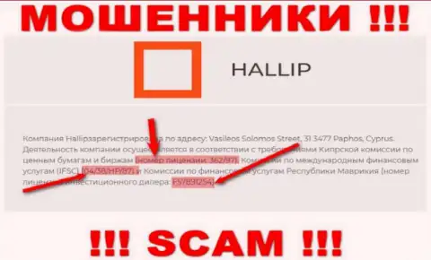 Не связывайтесь с жуликами Халлип Ком - существованием лицензионного документа, на сайте, завлекают клиентов