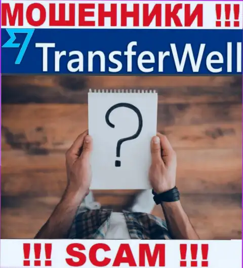 О лицах, управляющих организацией TransferWell ничего не известно