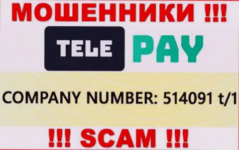 Номер регистрации Теле Пай, который предоставлен мошенниками у них на web-сервисе: 514091 t/1