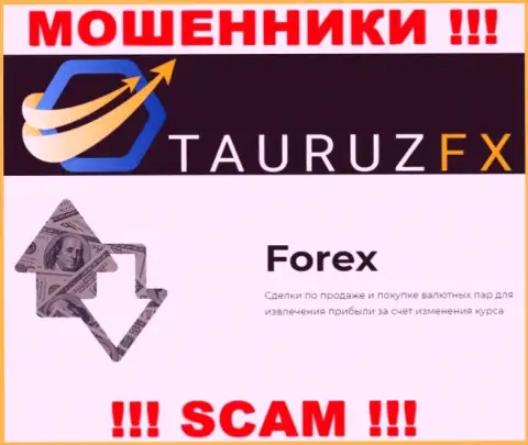 Forex - это то, чем занимаются мошенники TauruzFX