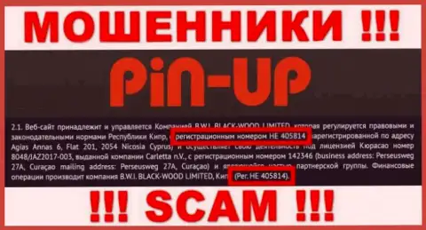 Номер регистрации еще одних мошенников всемирной интернет сети компании PinUp Casino: HE 405814