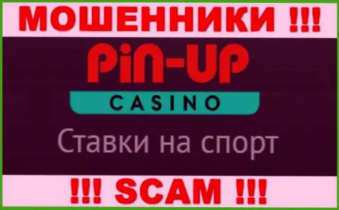 Основная деятельность Pin Up Casino - это Casino, будьте очень бдительны, работают противозаконно