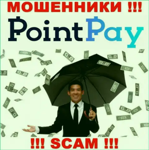 Не попадитесь в грязные руки internet мошенников Point Pay, вложенные денежные средства не выведете
