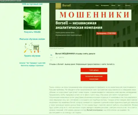 Обзор мошеннических уловок scam-конторы Борселл Ру - это ЖУЛИКИ !