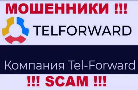 Юридическое лицо TelForward Net - это Тел-Форвард, именно такую информацию разместили мошенники на своем ресурсе