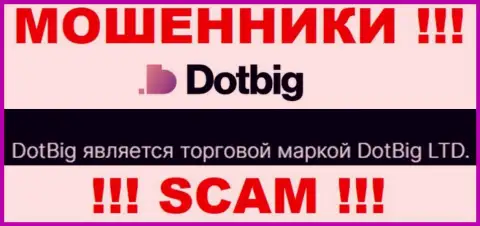 Dot Big - юридическое лицо интернет-обманщиков компания DotBig LTD