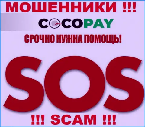 Можно попытаться вернуть деньги из компании Coco-Pay Com, обращайтесь, разузнаете, как действовать