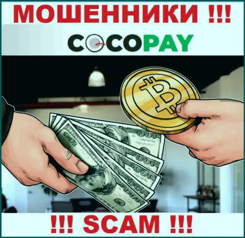 Не советуем доверять депозиты Coco-Pay Com, поскольку их область работы, Обменка, развод