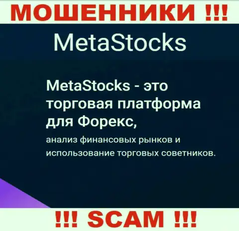 Форекс - именно в данной области промышляют циничные обманщики MetaStocks Co Uk