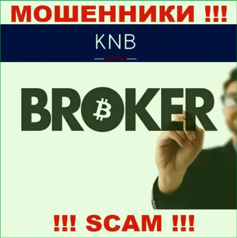 Брокер - в данном направлении оказывают услуги ворюги KNB-Group Net