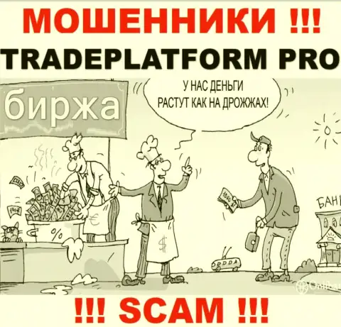 Доход с брокерской компанией TradePlatform Pro Вы не увидите - не советуем заводить дополнительно финансовые средства
