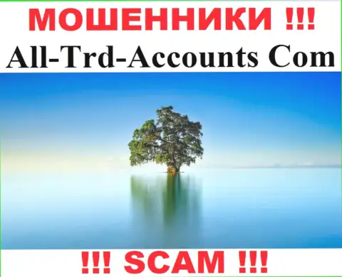 All-Trd-Accounts Com отжимают денежные активы и выходят сухими из воды - они спрятали сведения о юрисдикции
