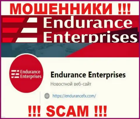 Установить контакт с internet-мошенниками из EnduranceFX Com Вы можете, если напишите сообщение на их адрес электронной почты