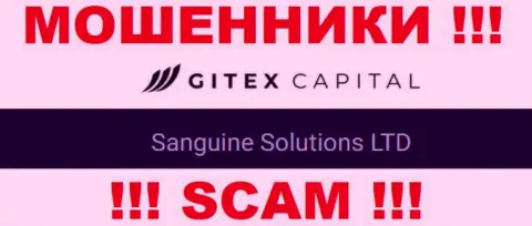 Юридическое лицо GitexCapital Pro - это Сангин Солютионс ЛТД, такую инфу показали мошенники у себя на сайте