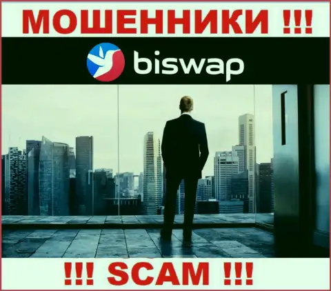 Кто управляет интернет-мошенниками BiSwap неясно