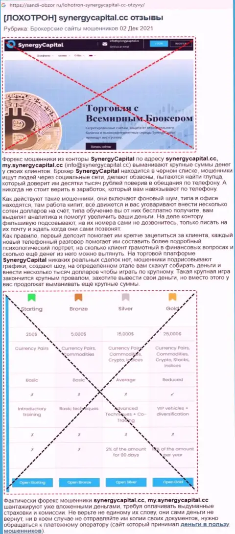 Обзор Synergy Capital с описанием всех показателей мошенничества