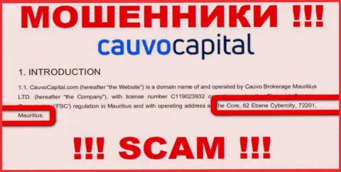 Невозможно забрать обратно вклады у CauvoCapital - они спрятались в офшоре по адресу - The Core, 62 Ebene Cybercity, 72201, Mauritius