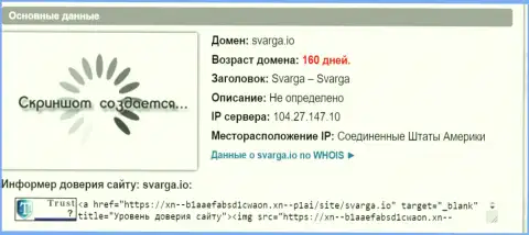 Возраст домена Форекс дилинговой организации Svarga, согласно справочной информации, которая получена на web-портале doverievseti rf