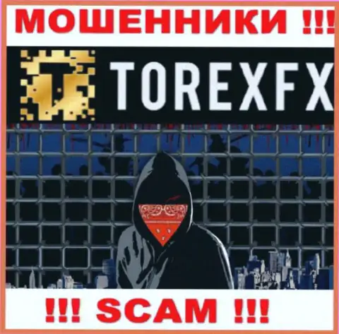 Torex FX не разглашают инфу о руководителях организации