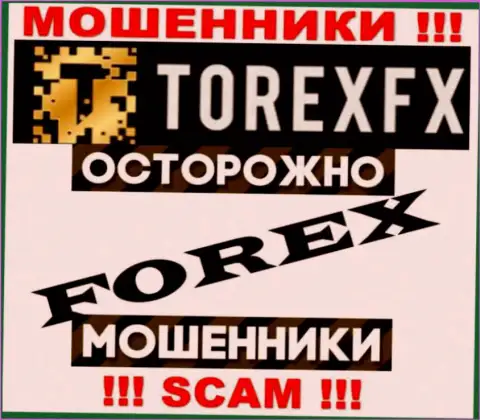 Тип деятельности TorexFX: FOREX - отличный доход для шулеров